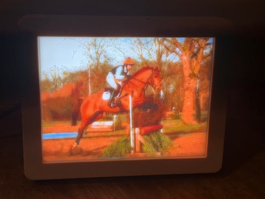 Custom Lithophane Print